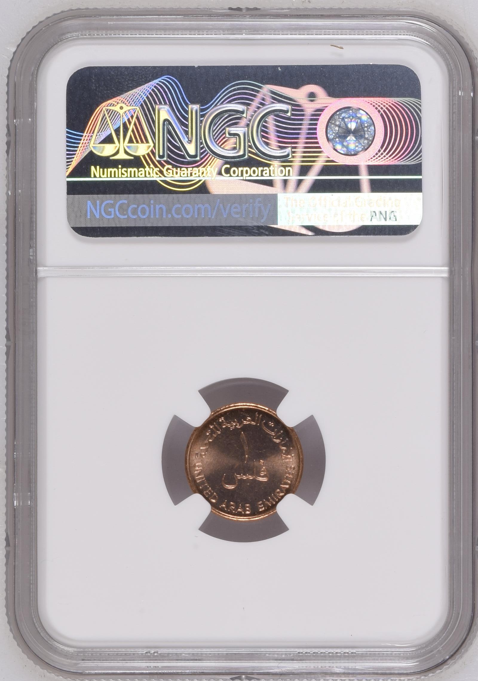 Fils 2005 F.A.O. reverse